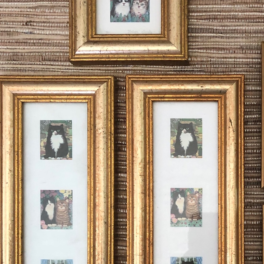 CAT LOVERS!  Set of 5 small wall art pieces